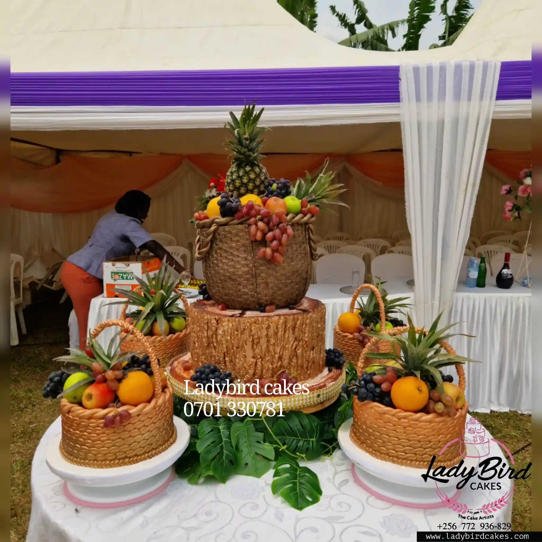 This is a custom cake of Ladybird Cakes Uganda