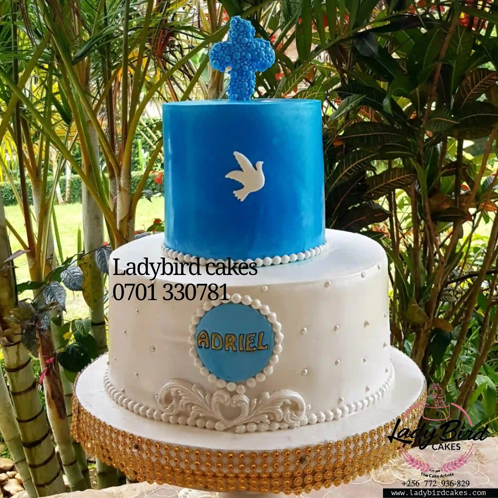 This is a custom cake of Ladybird Cakes Uganda