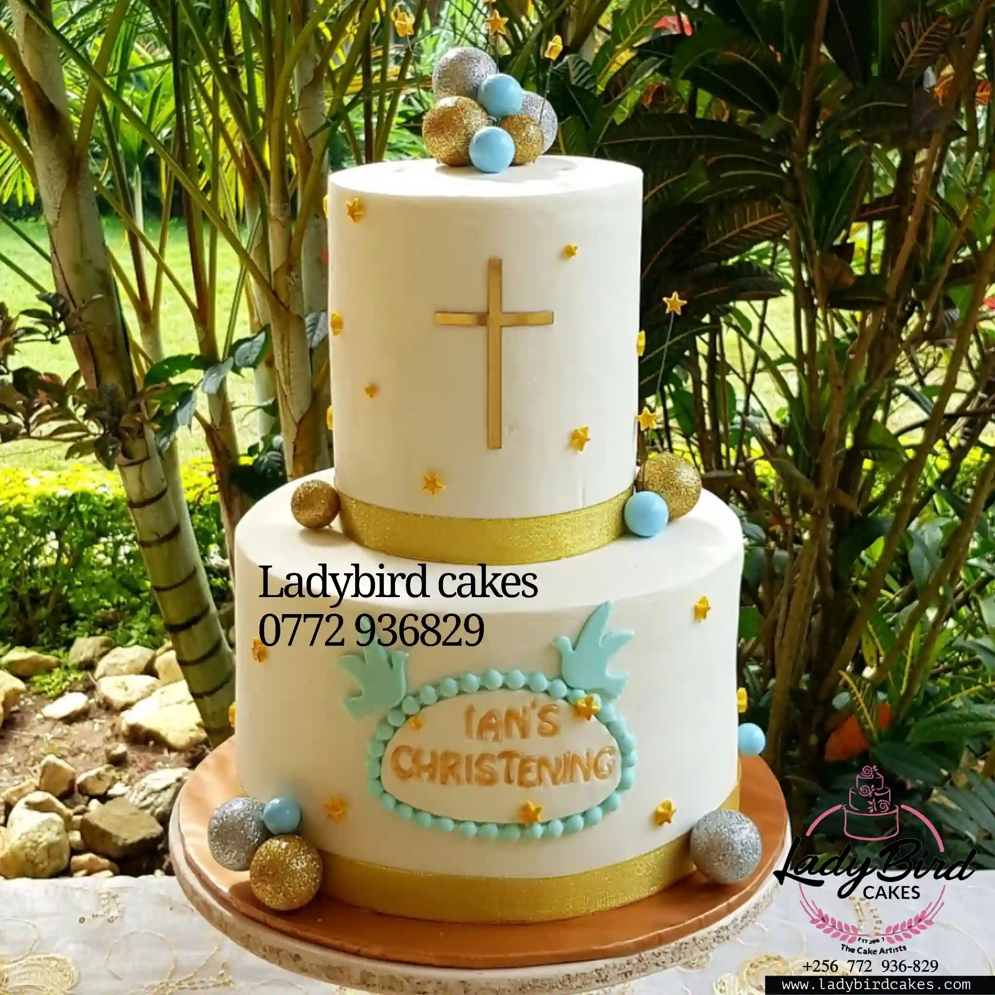 This is a custom cake of Ladybird Cakes Uganda