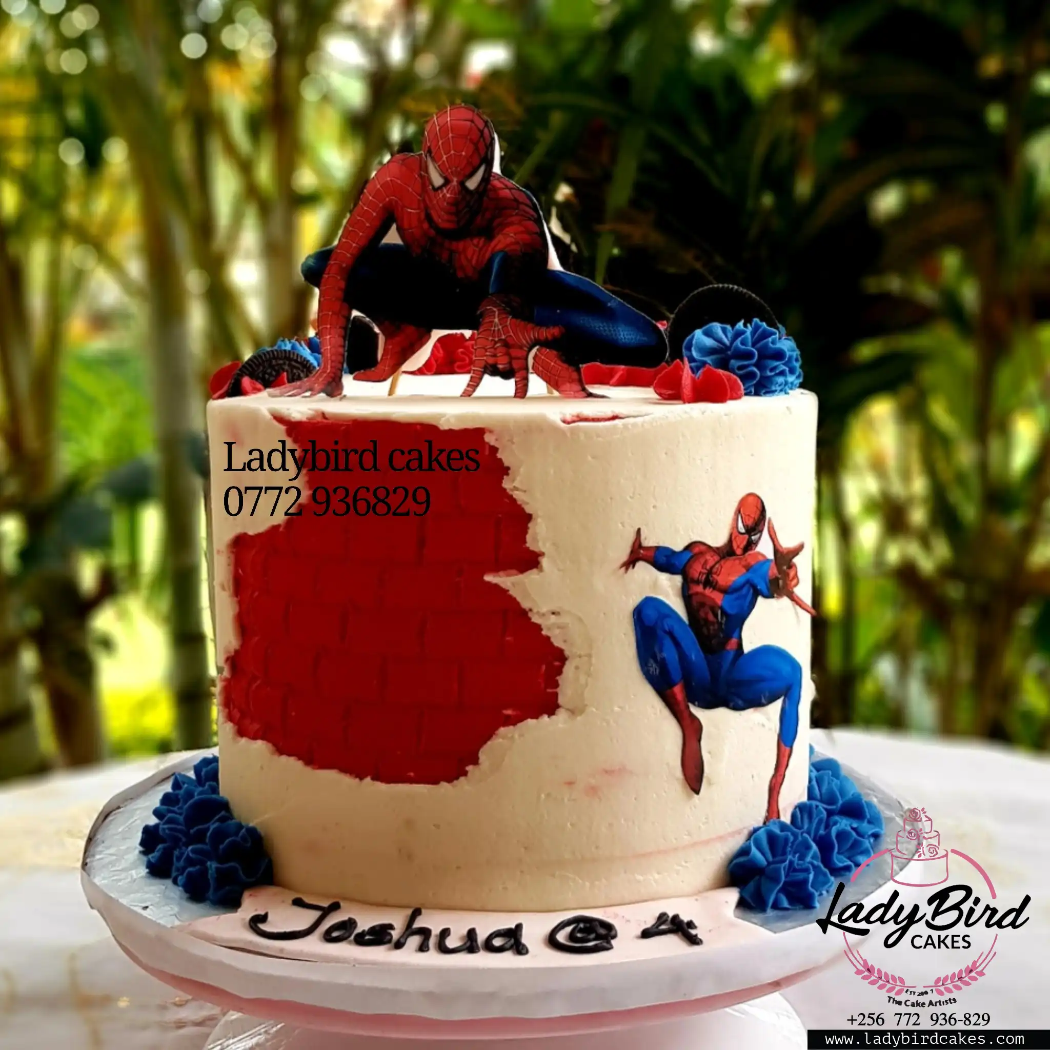 This is a custom cake of Ladybird Cakes Uganda