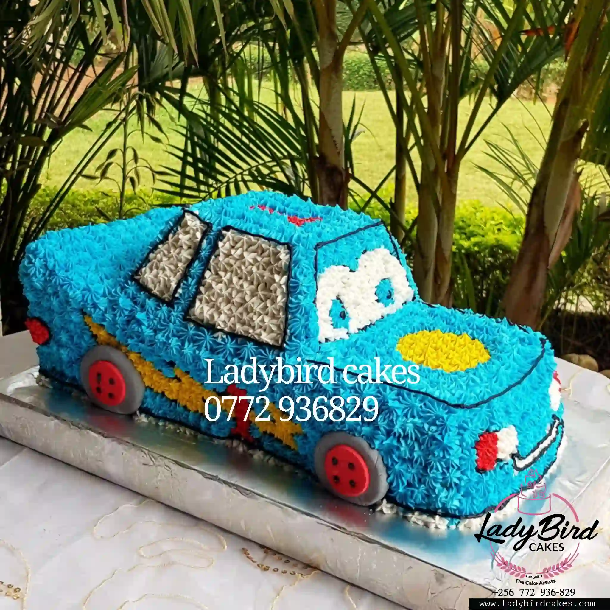 This is a custom cake of Ladybird Cakes Uganda