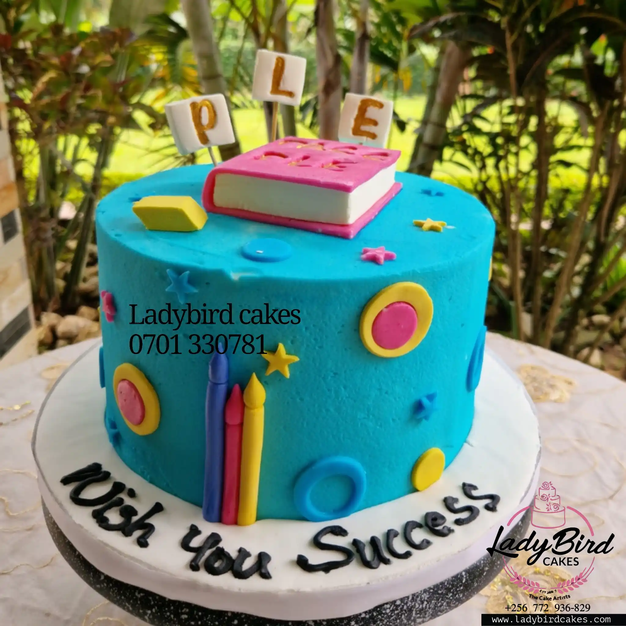 This is a custom cake of Ladybird Cakes Uganda