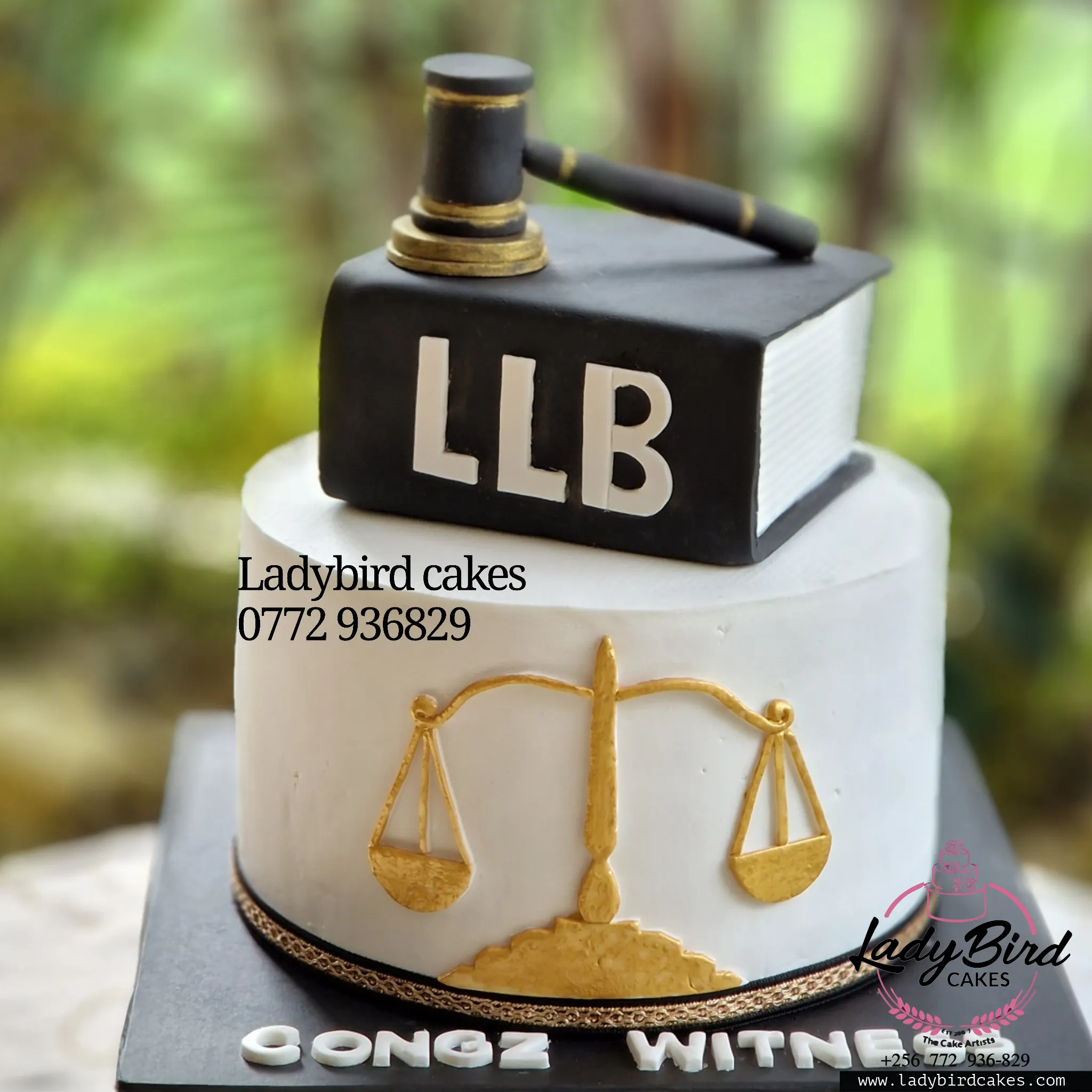 This is a custom cake of Ladybird Cakes Uganda