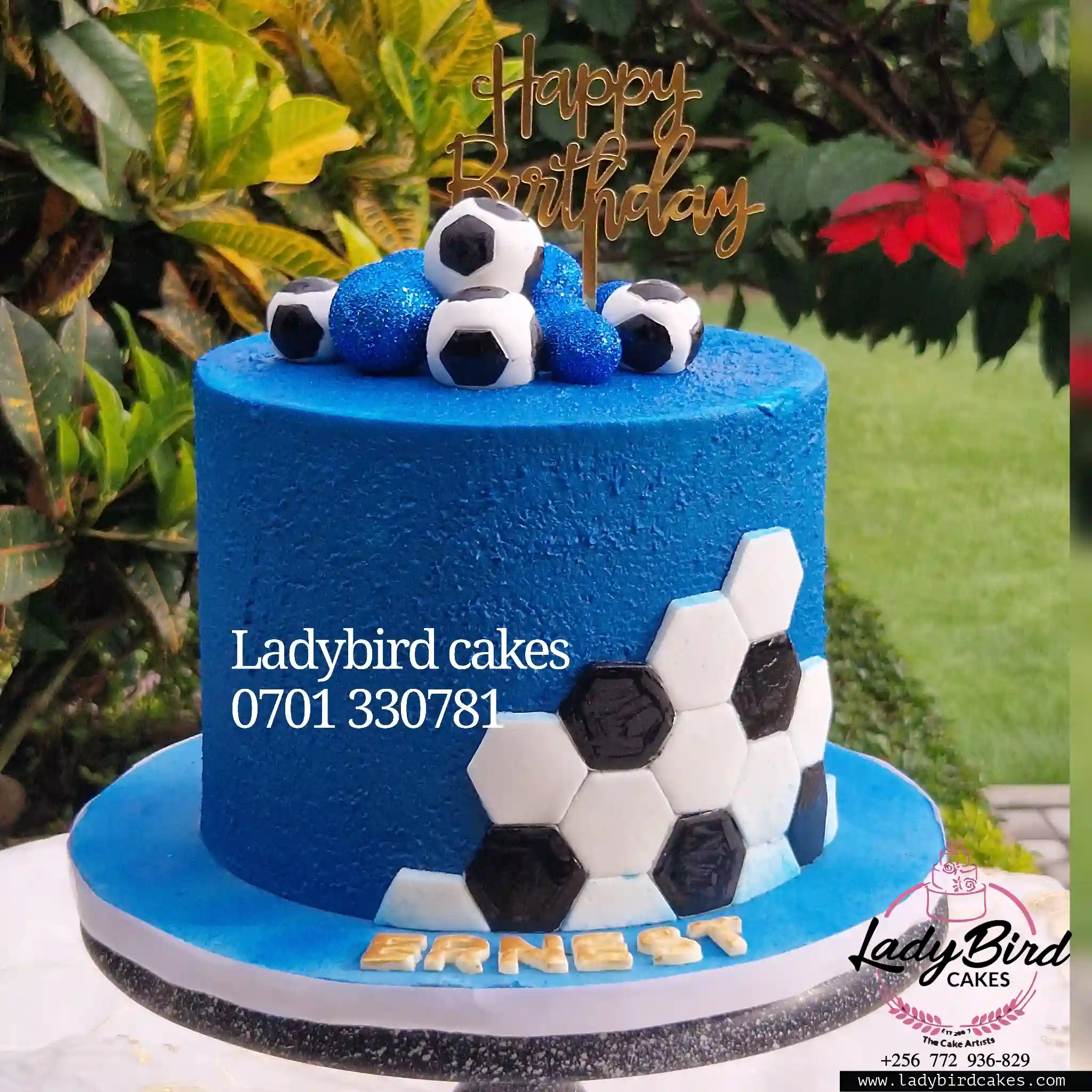 This is a custom cake of Ladybird Cakes Uganda