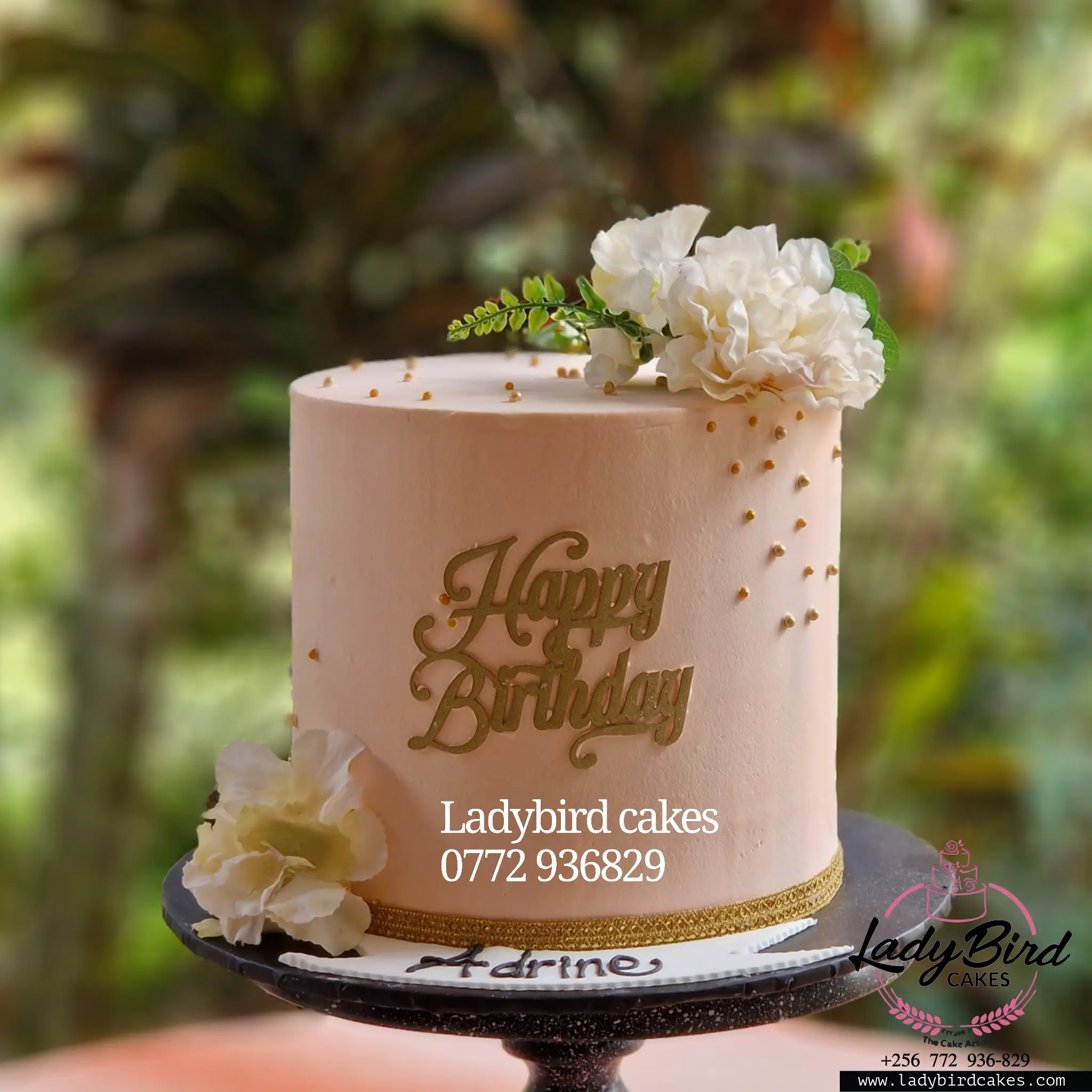 This is a custom cake of Ladybird Cakes Uganda