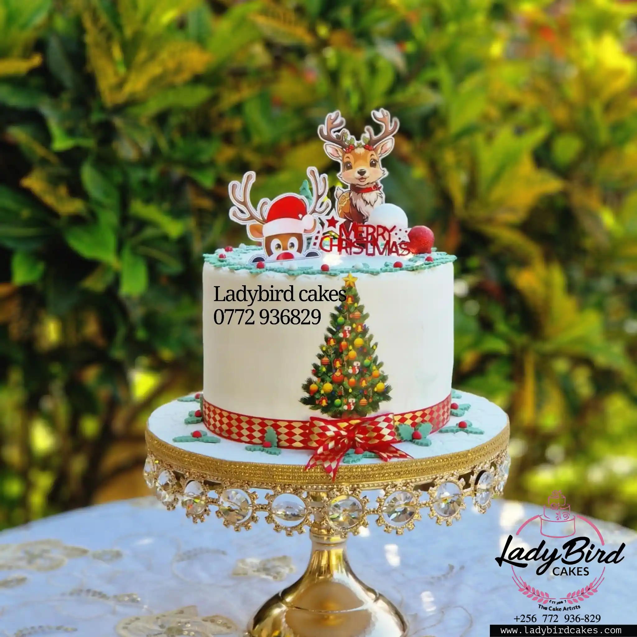 This is a custom cake of Ladybird Cakes Uganda