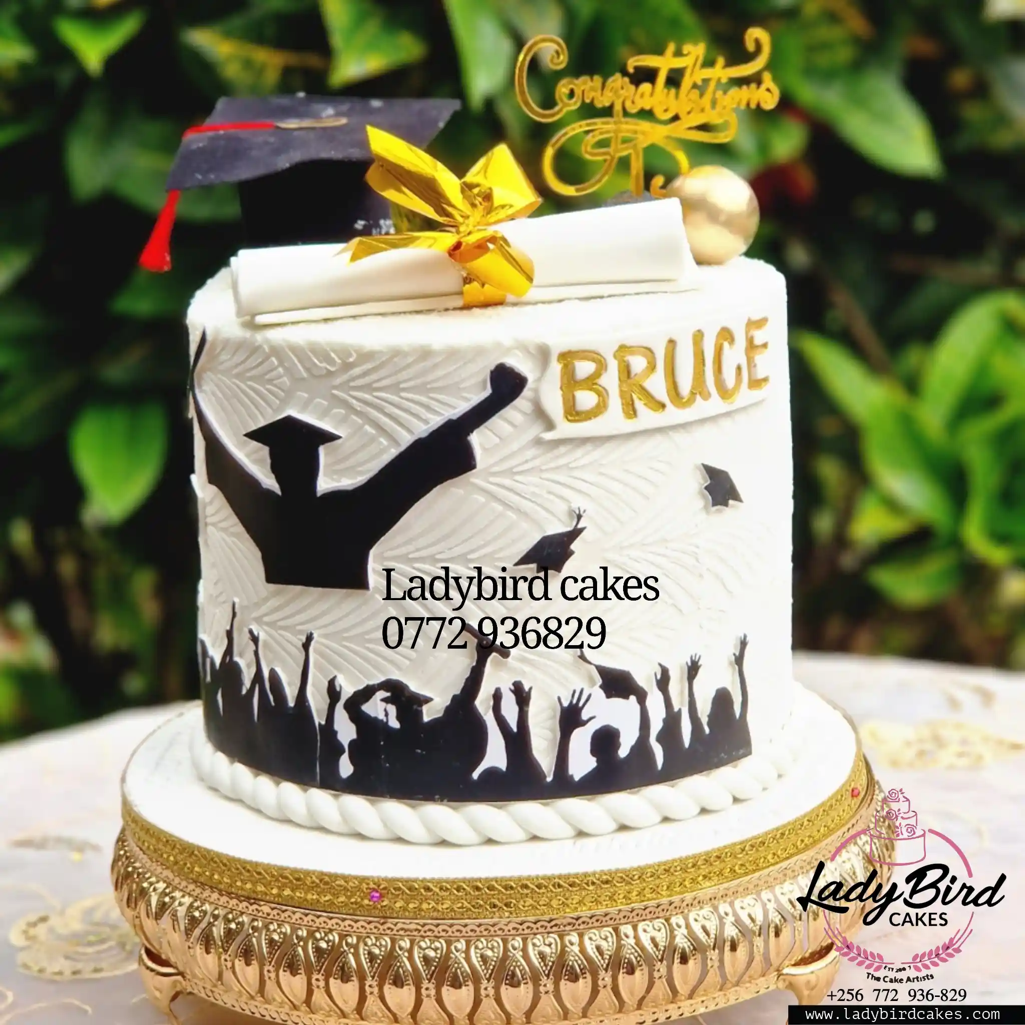 This is a custom cake of Ladybird Cakes Uganda