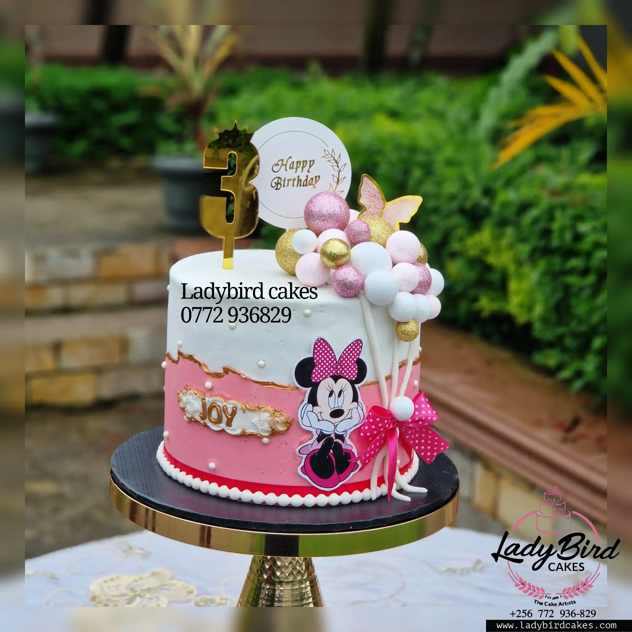 This is a custom cake of Ladybird Cakes Uganda