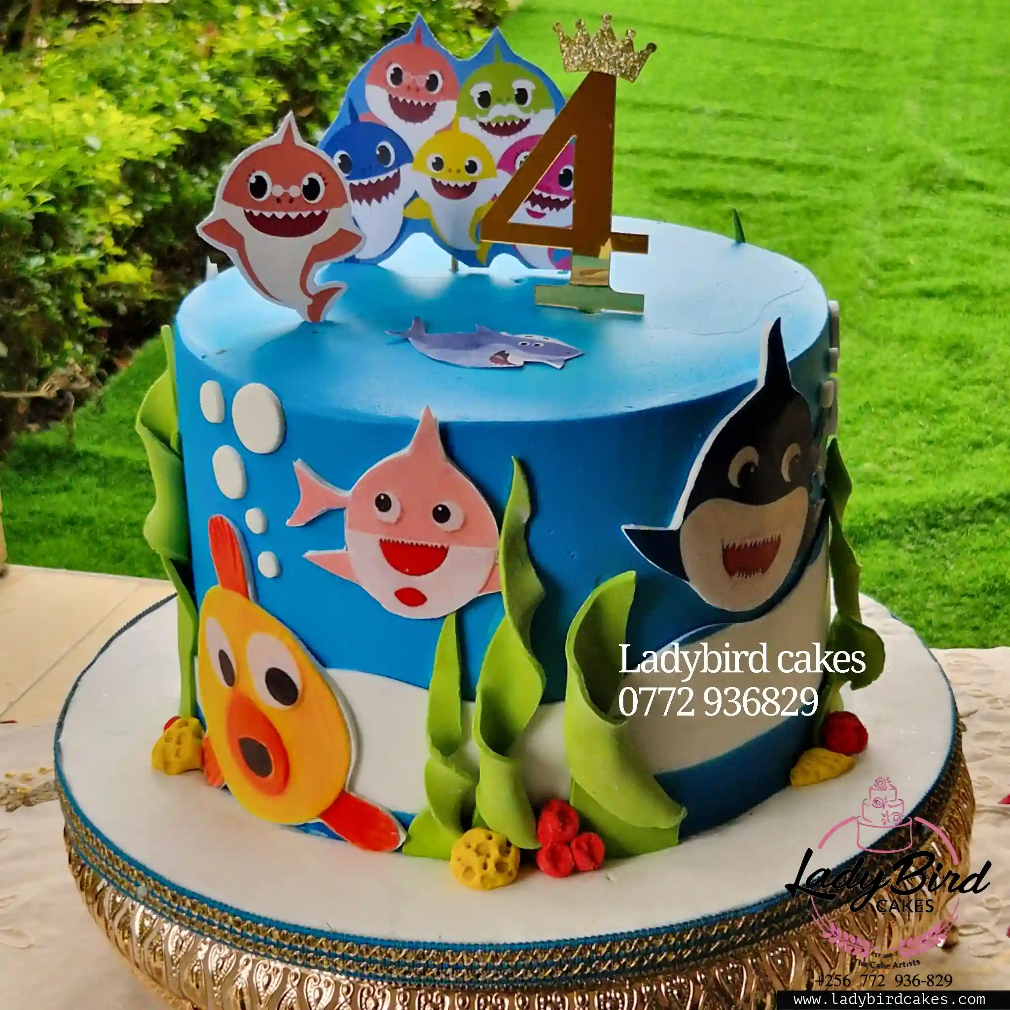 This is a custom cake of Ladybird Cakes Uganda