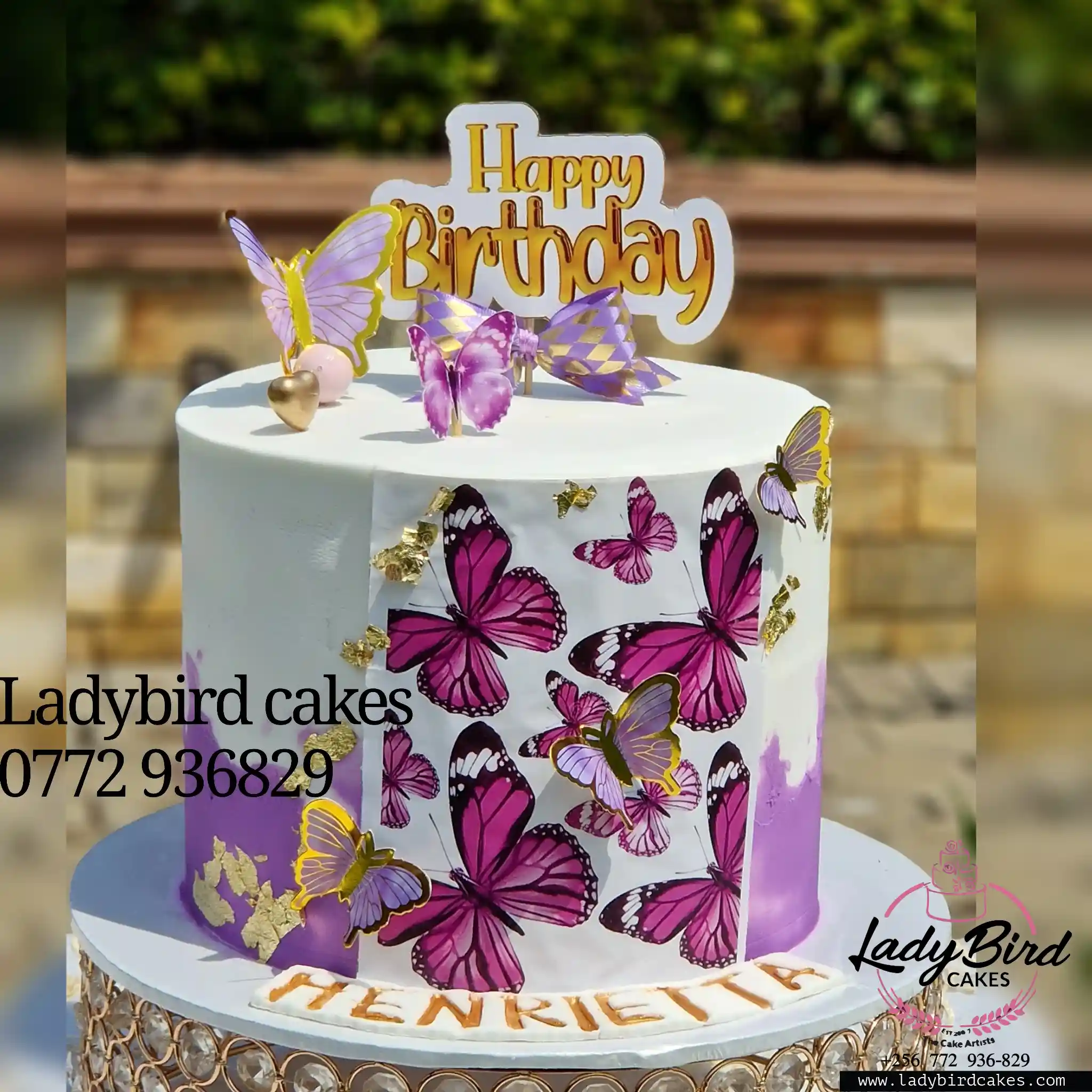 This is a custom cake of Ladybird Cakes Uganda