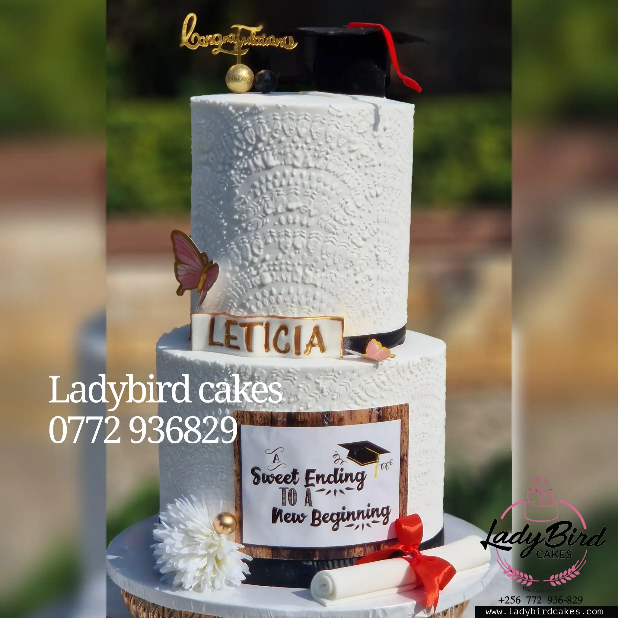 This is a custom cake of Ladybird Cakes Uganda