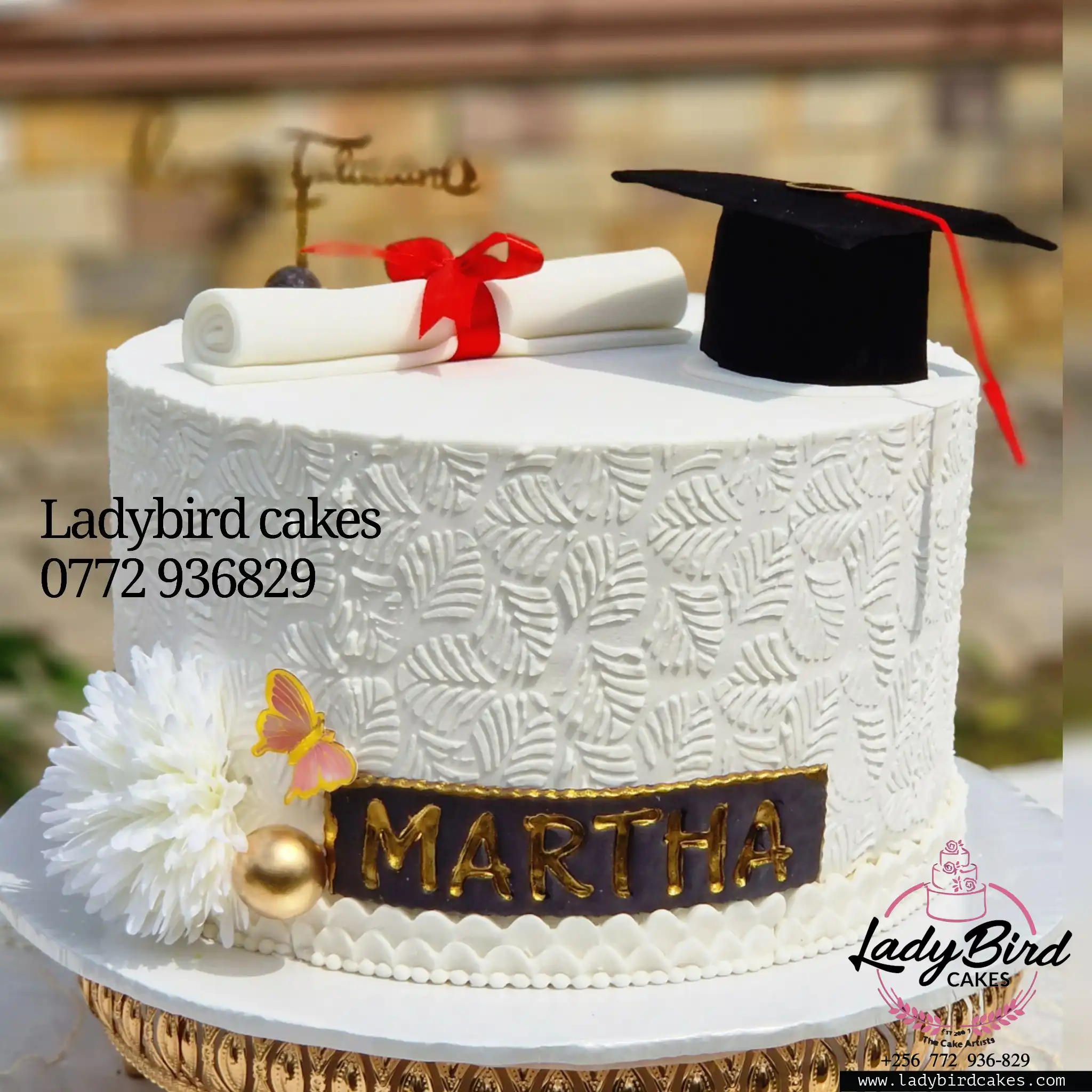 This is a custom cake of Ladybird Cakes Uganda