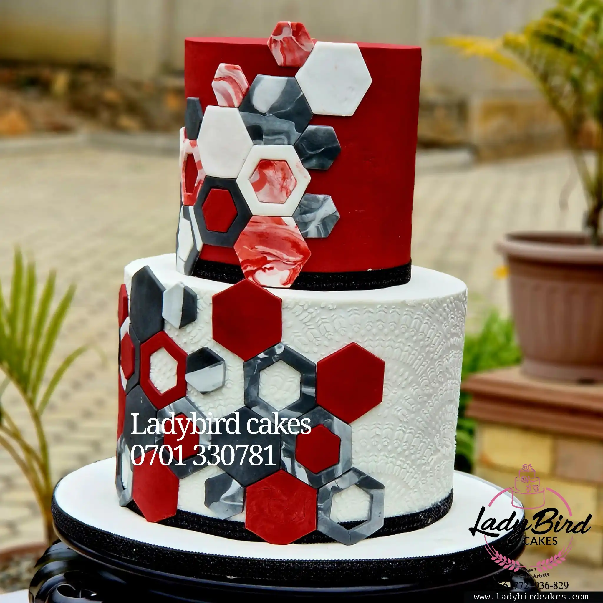 This is a custom cake of Ladybird Cakes Uganda