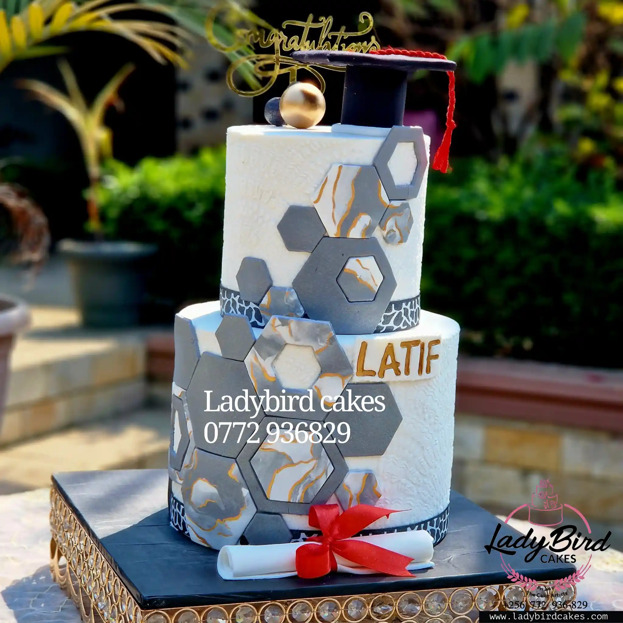 This is a custom cake of Ladybird Cakes Uganda