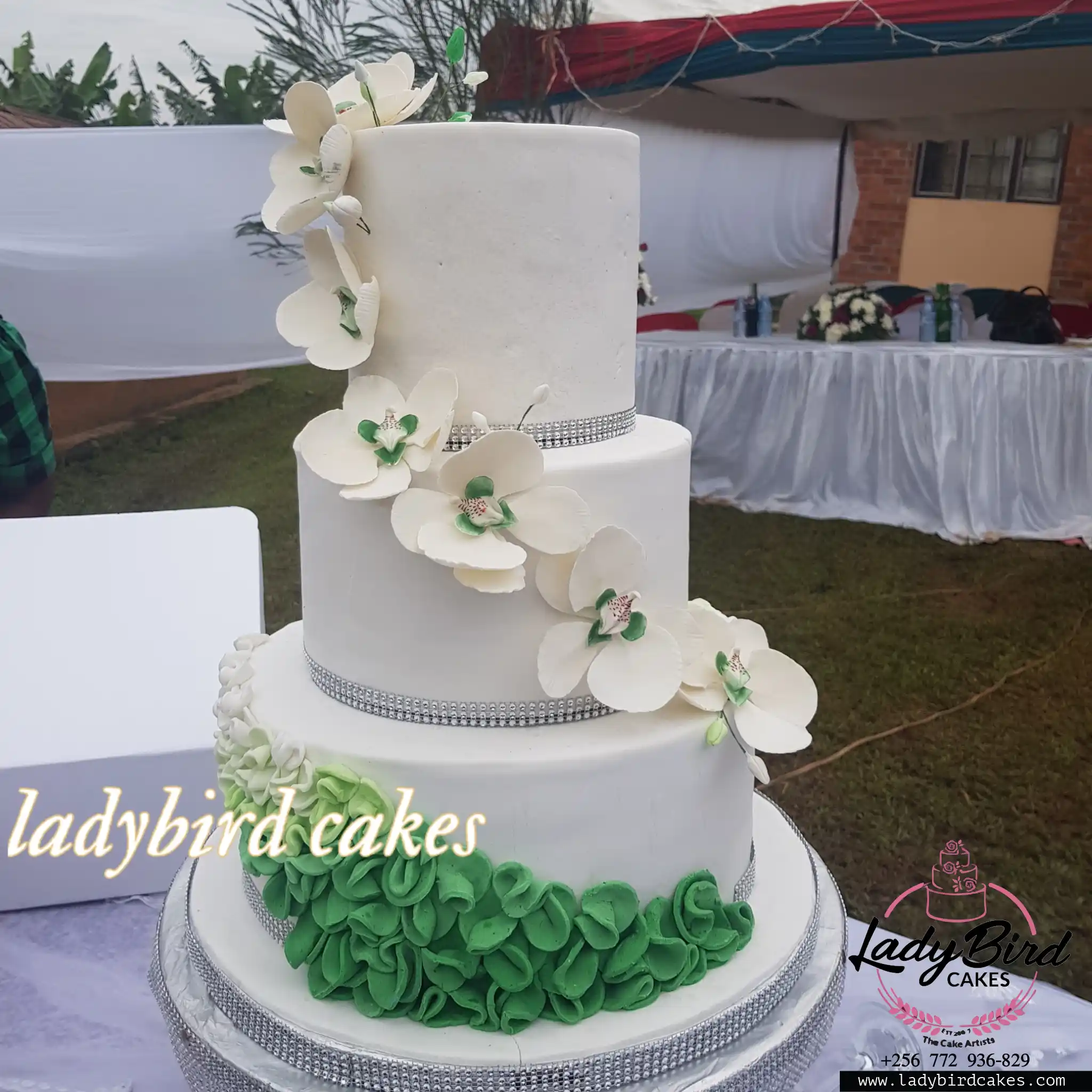 This is a custom cake of Ladybird Cakes Uganda