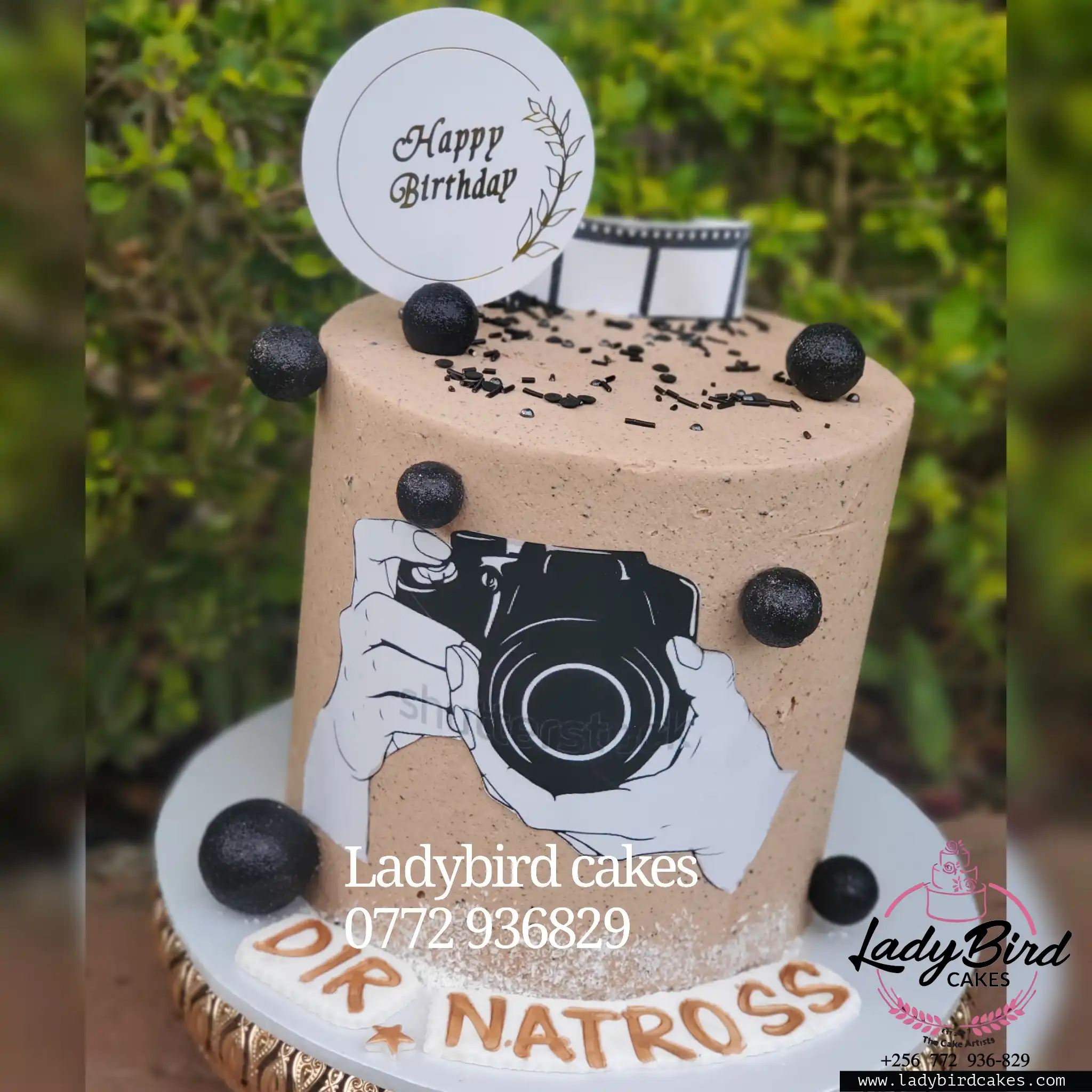 This is a custom cake of Ladybird Cakes Uganda