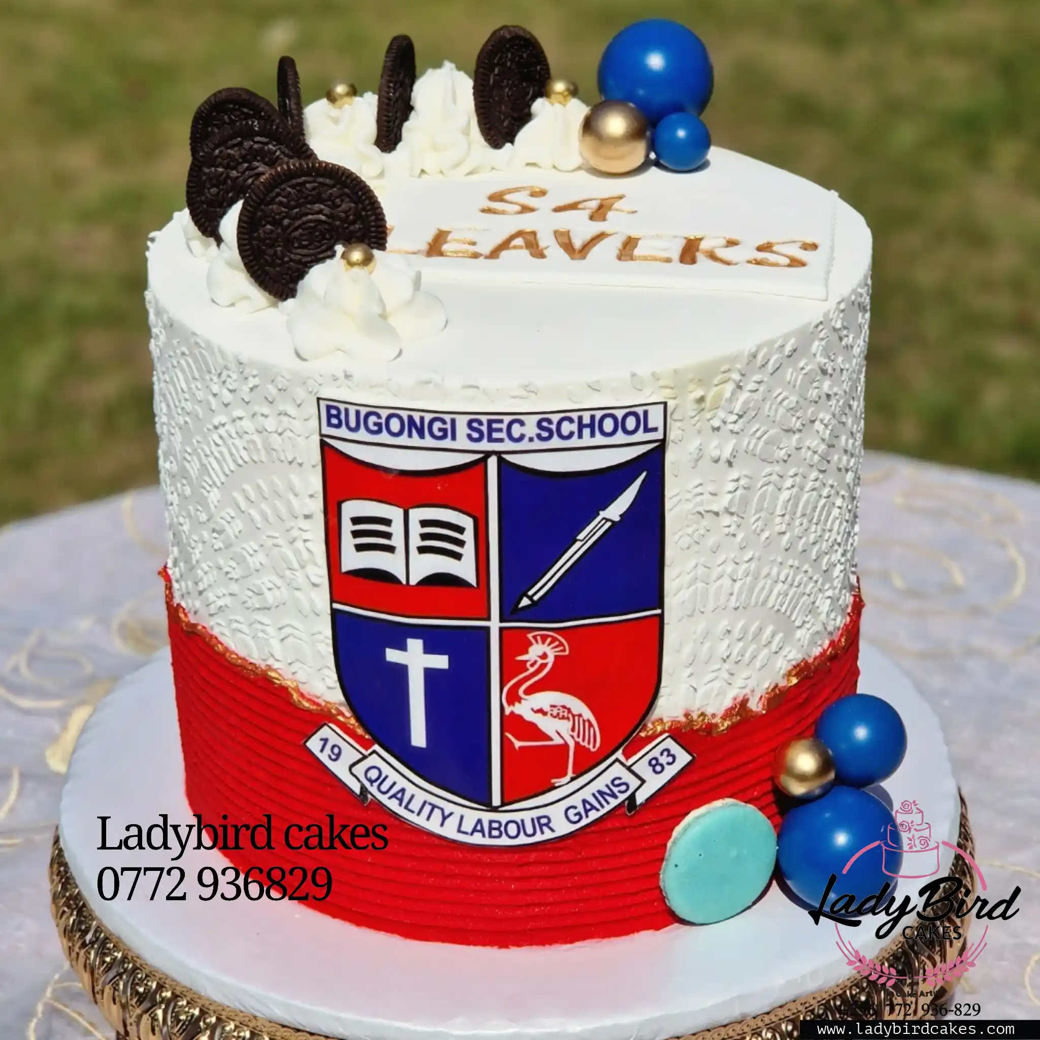 This is a custom cake of Ladybird Cakes Uganda