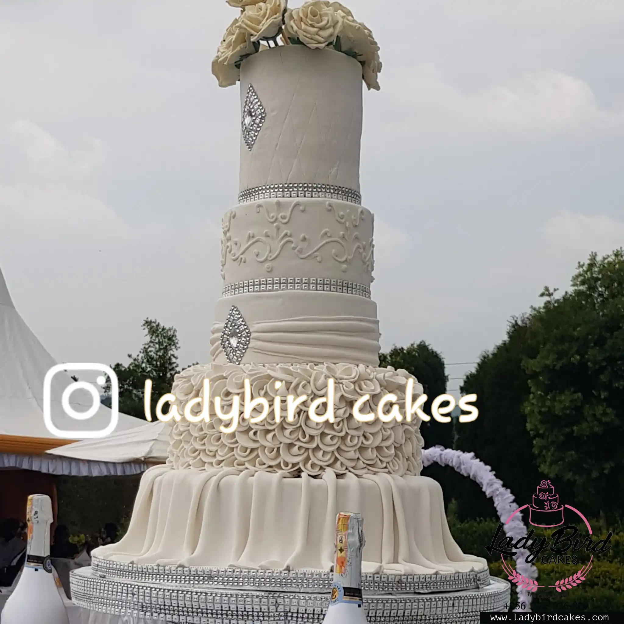 This is a custom cake of Ladybird Cakes Uganda