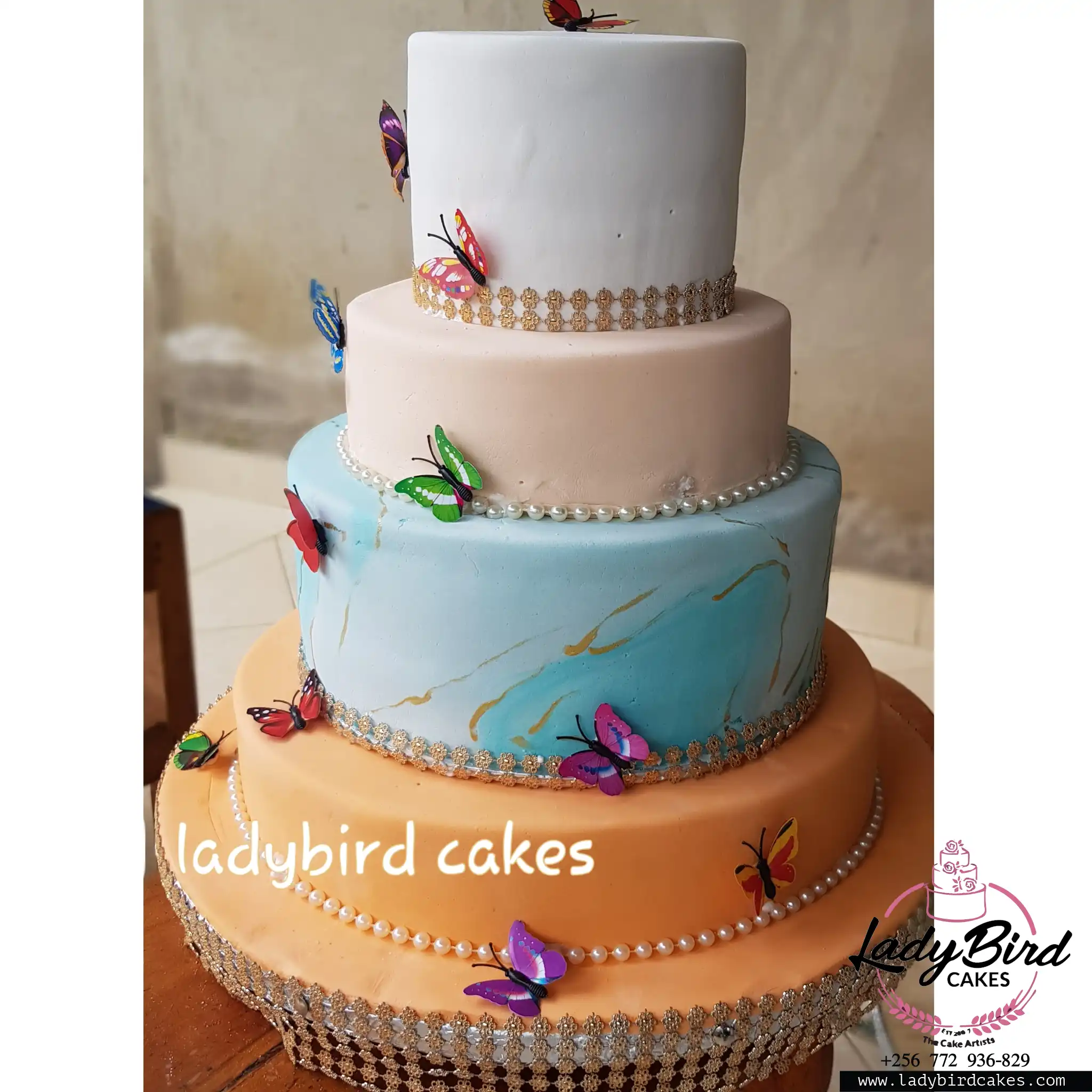 This is a custom cake of Ladybird Cakes Uganda