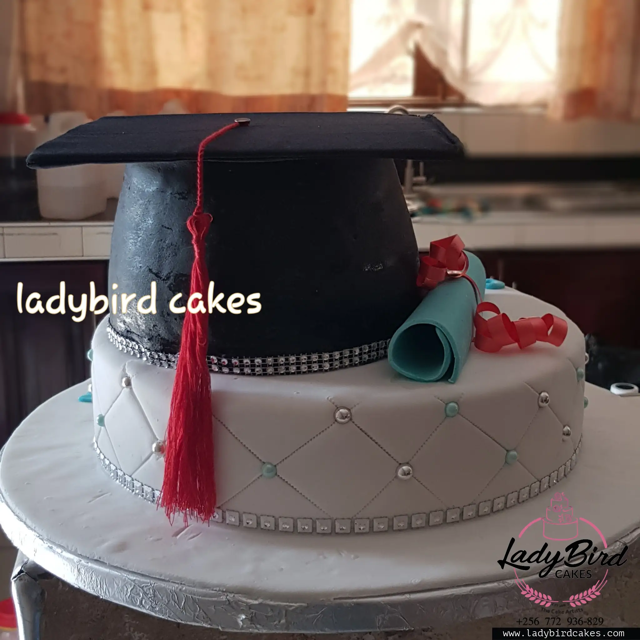 This is a custom cake of Ladybird Cakes Uganda