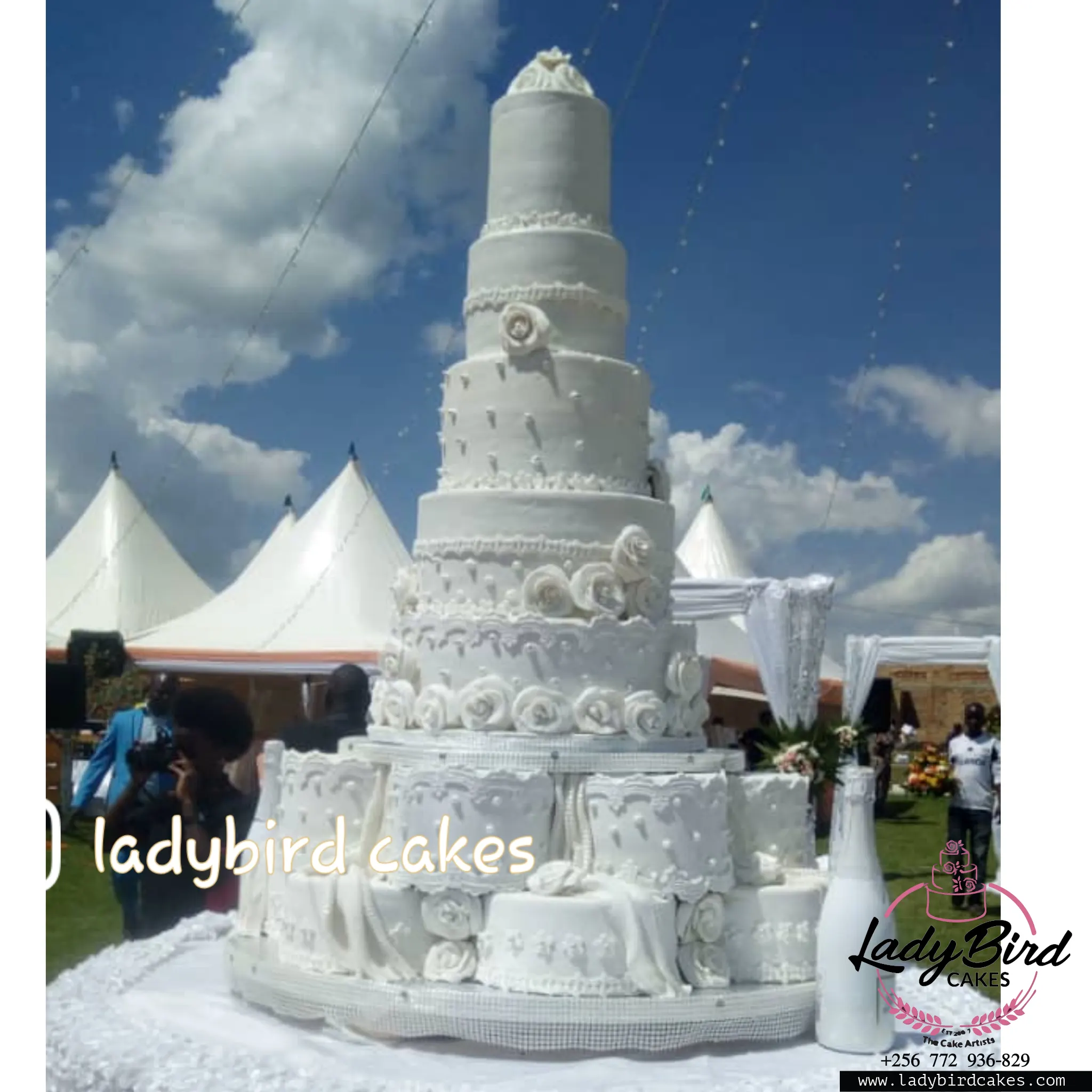 This is a custom cake of Ladybird Cakes Uganda