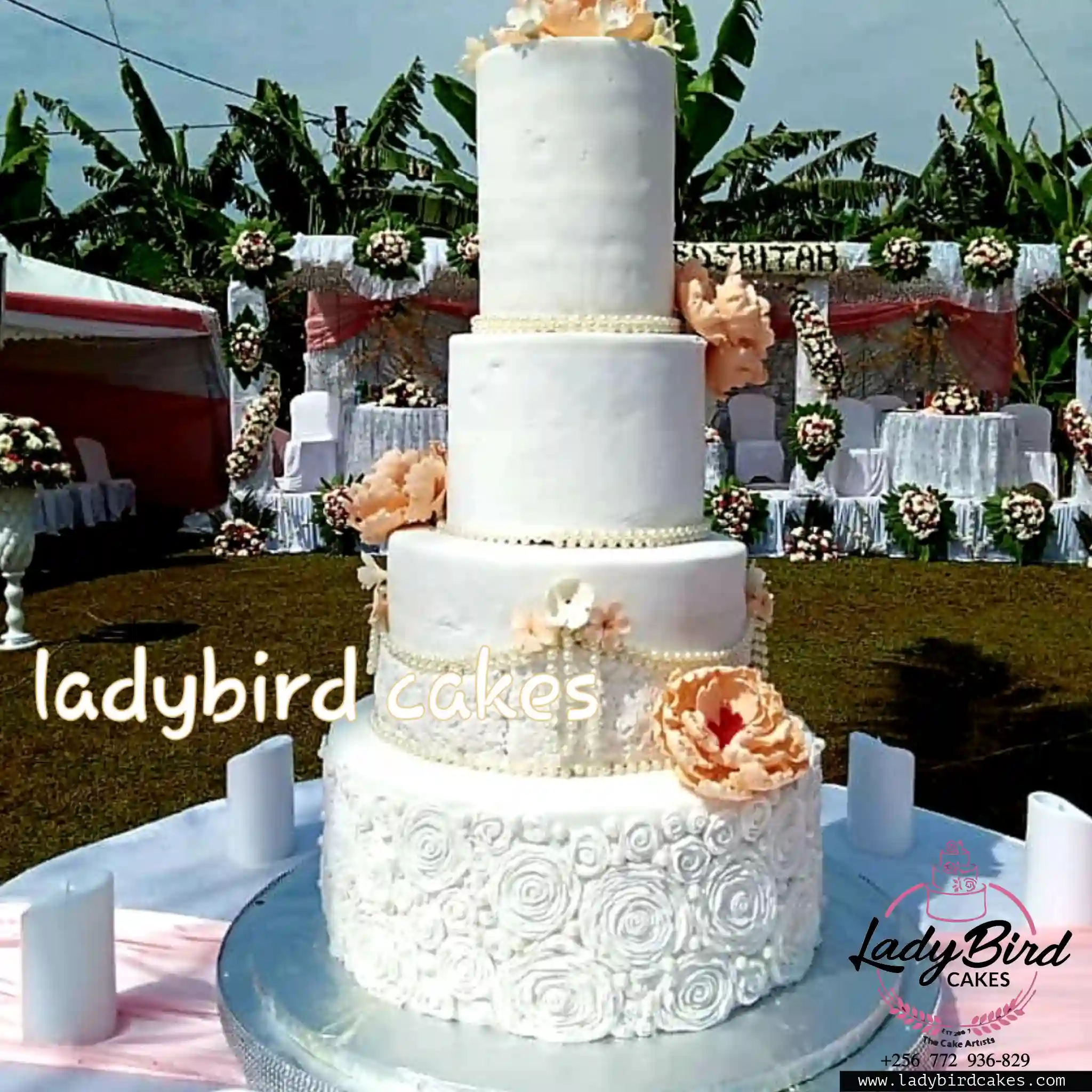 This is a custom cake of Ladybird Cakes Uganda