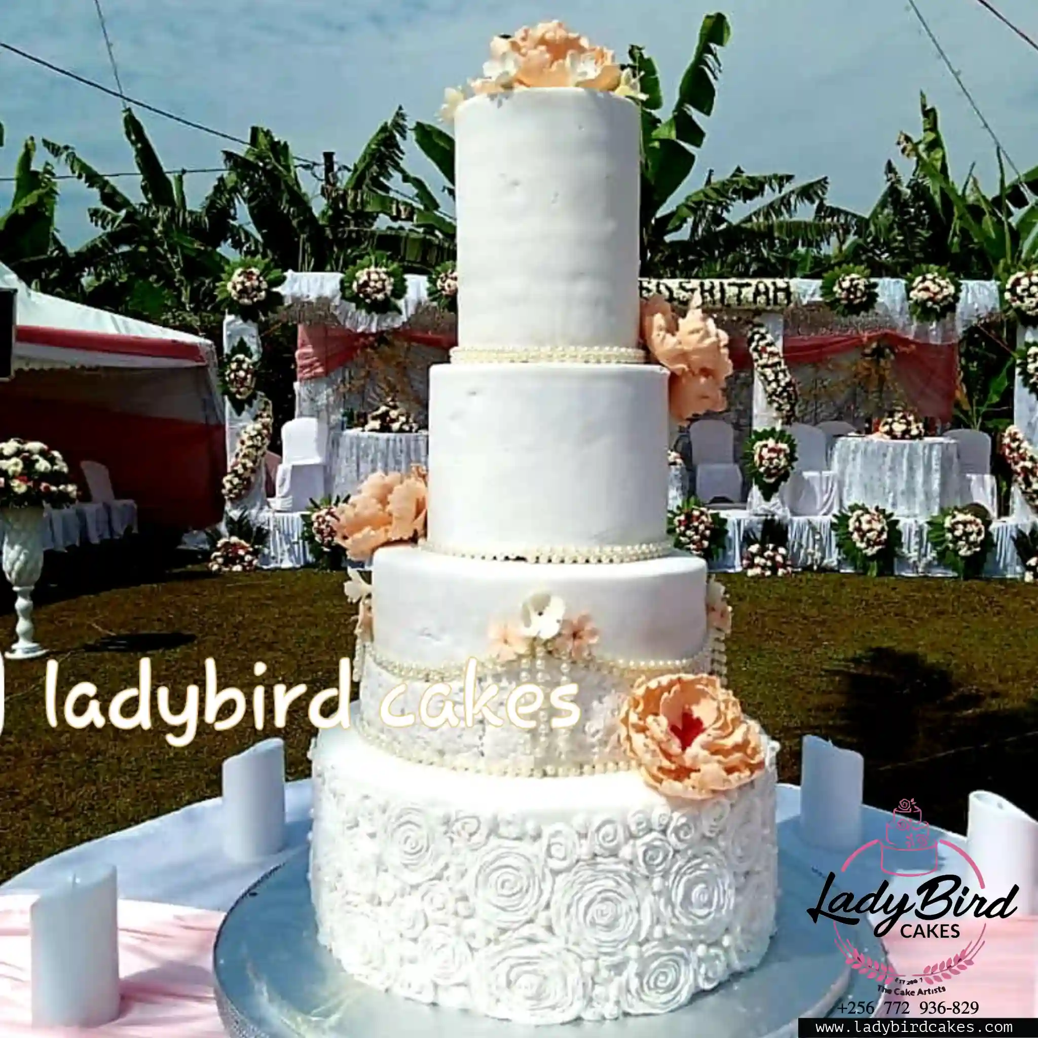 This is a custom cake of Ladybird Cakes Uganda