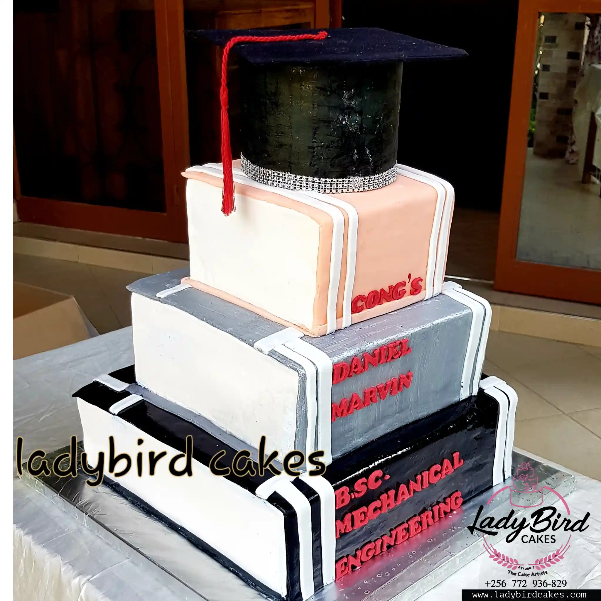 This is a custom cake of Ladybird Cakes Uganda