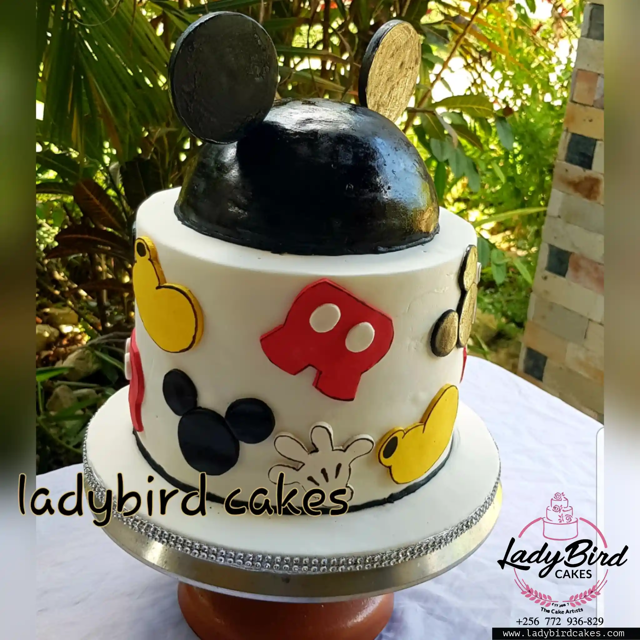 This is a custom cake of Ladybird Cakes Uganda