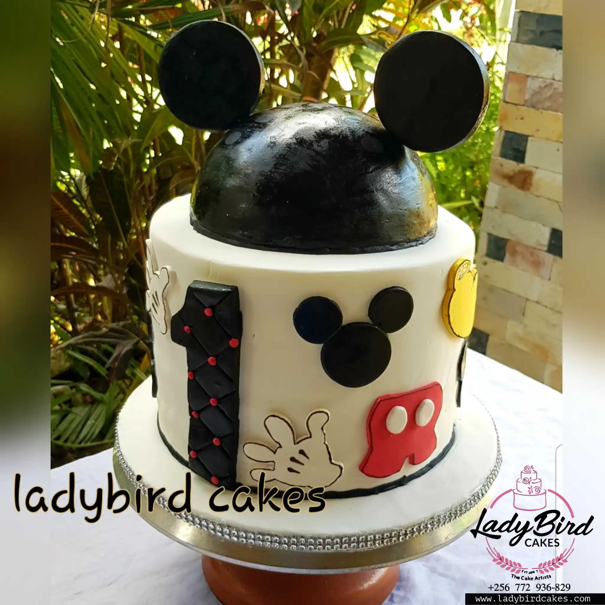 This is a custom cake of Ladybird Cakes Uganda