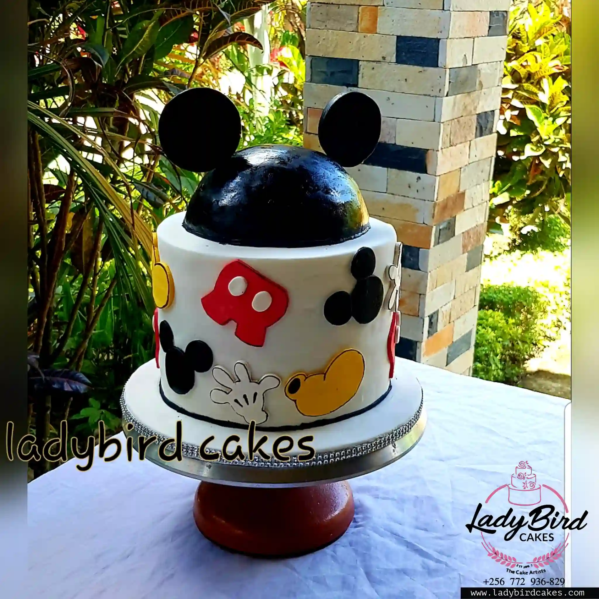 This is a custom cake of Ladybird Cakes Uganda