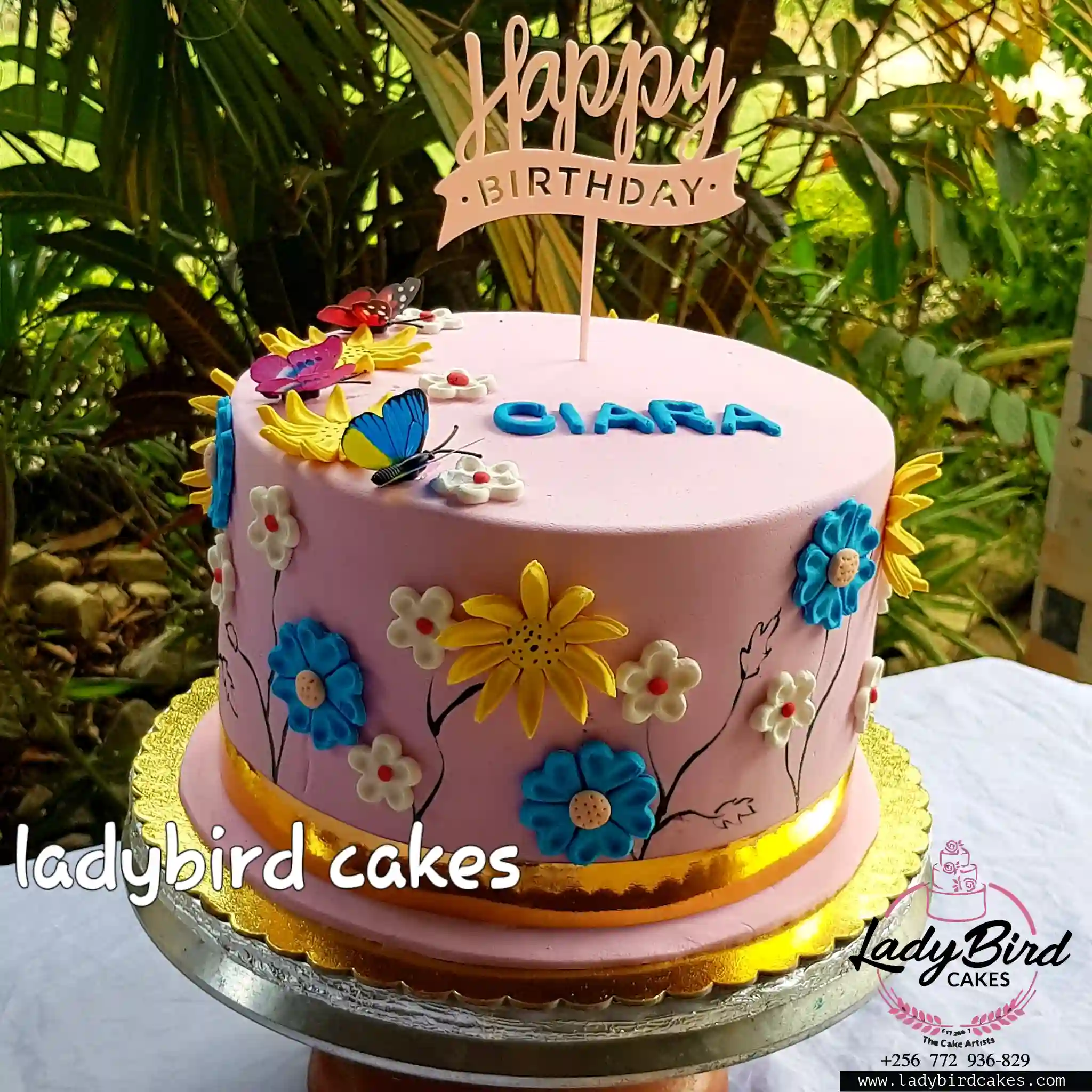 This is a custom cake of Ladybird Cakes Uganda