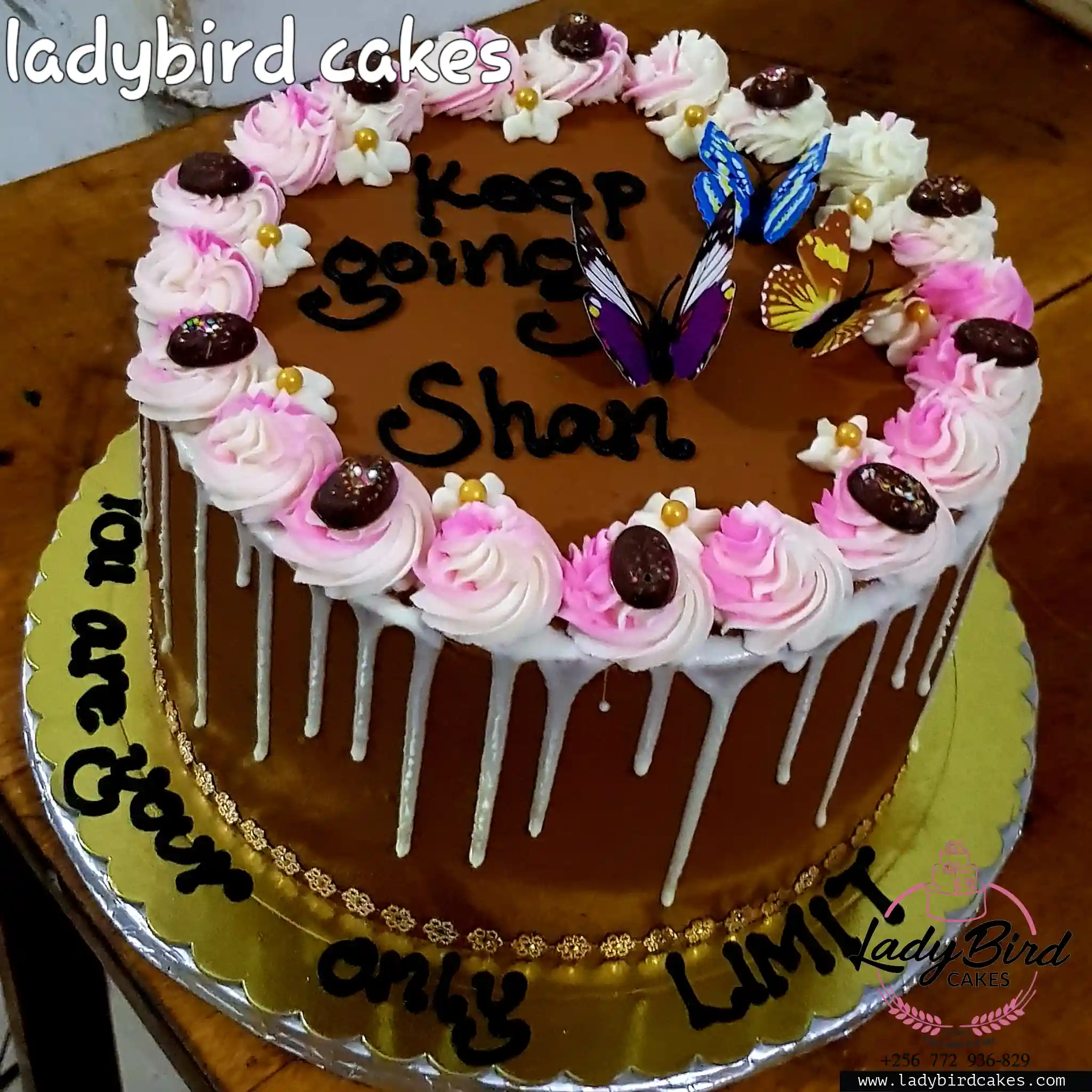 This is a custom cake of Ladybird Cakes Uganda