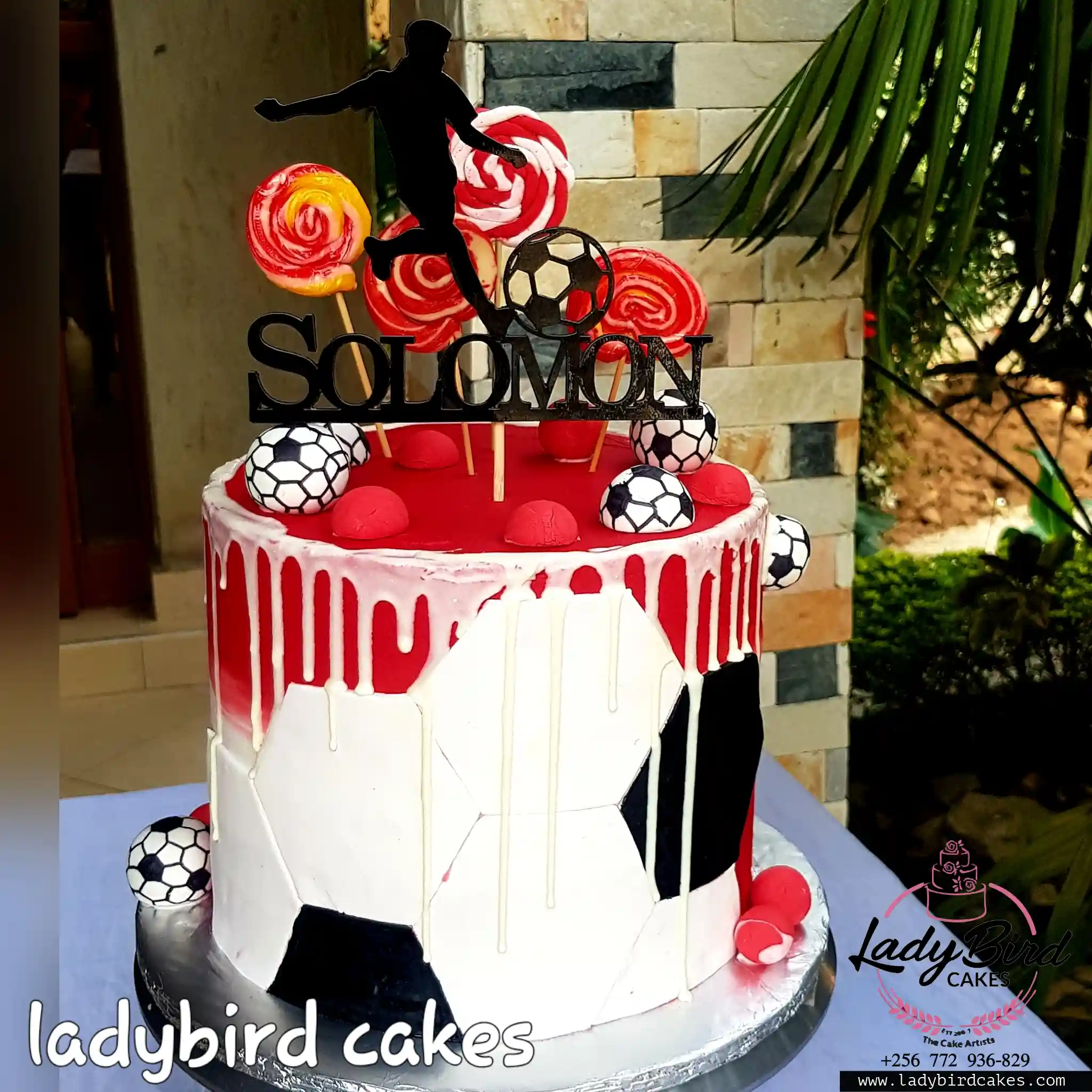 This is a custom cake of Ladybird Cakes Uganda