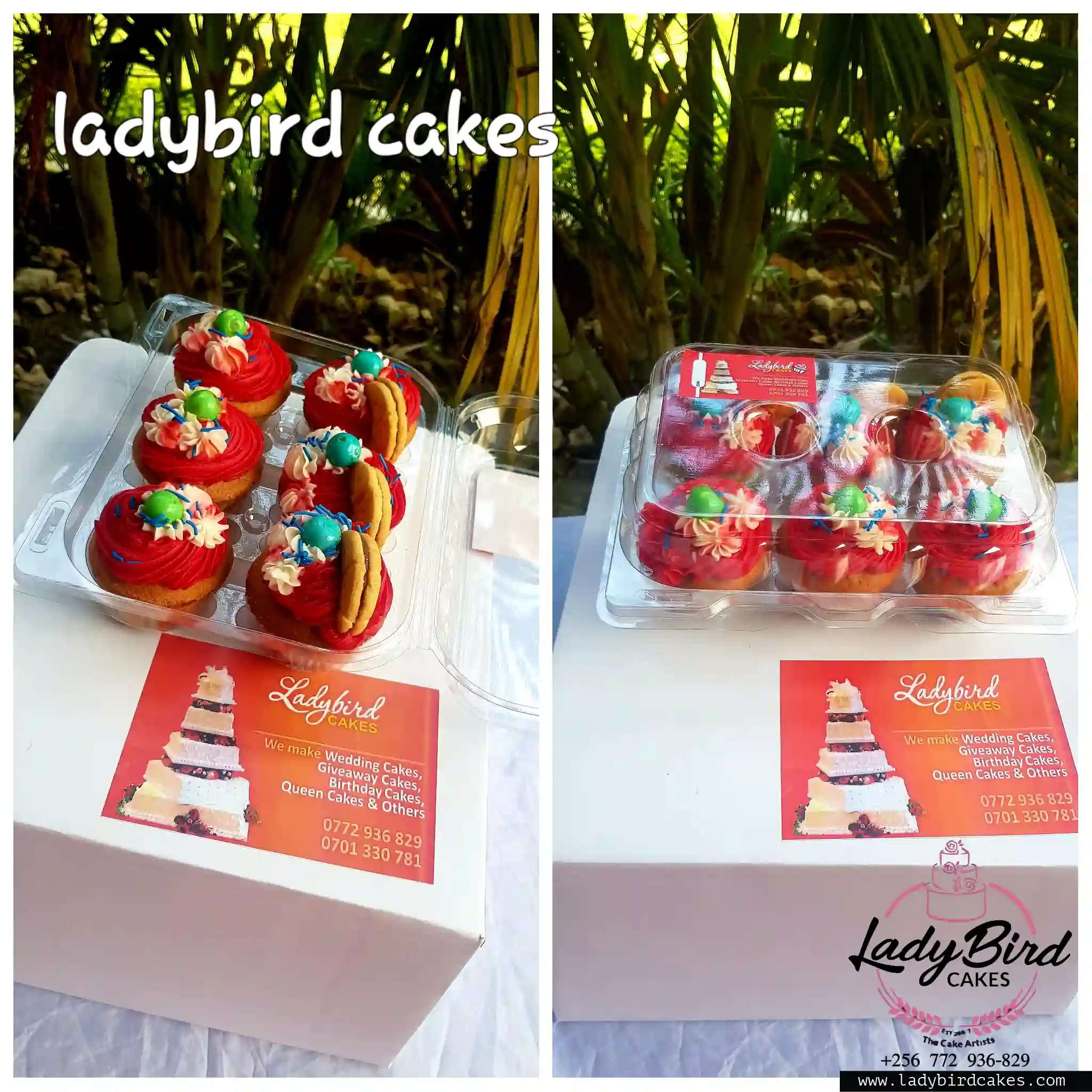 This is a custom cake of Ladybird Cakes Uganda