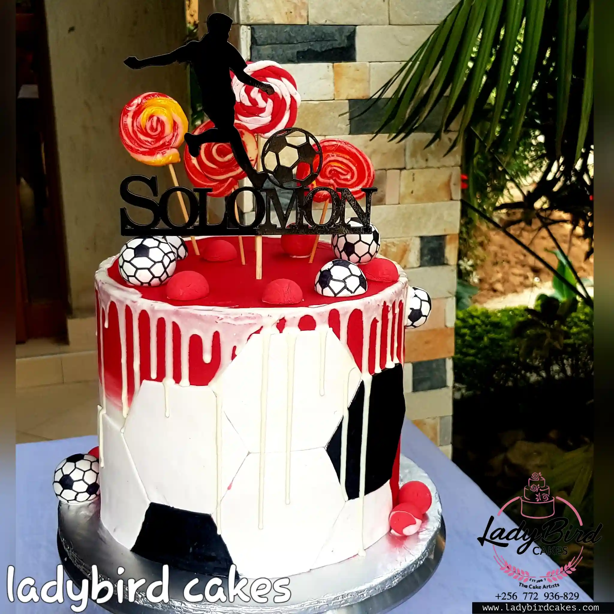 This is a custom cake of Ladybird Cakes Uganda