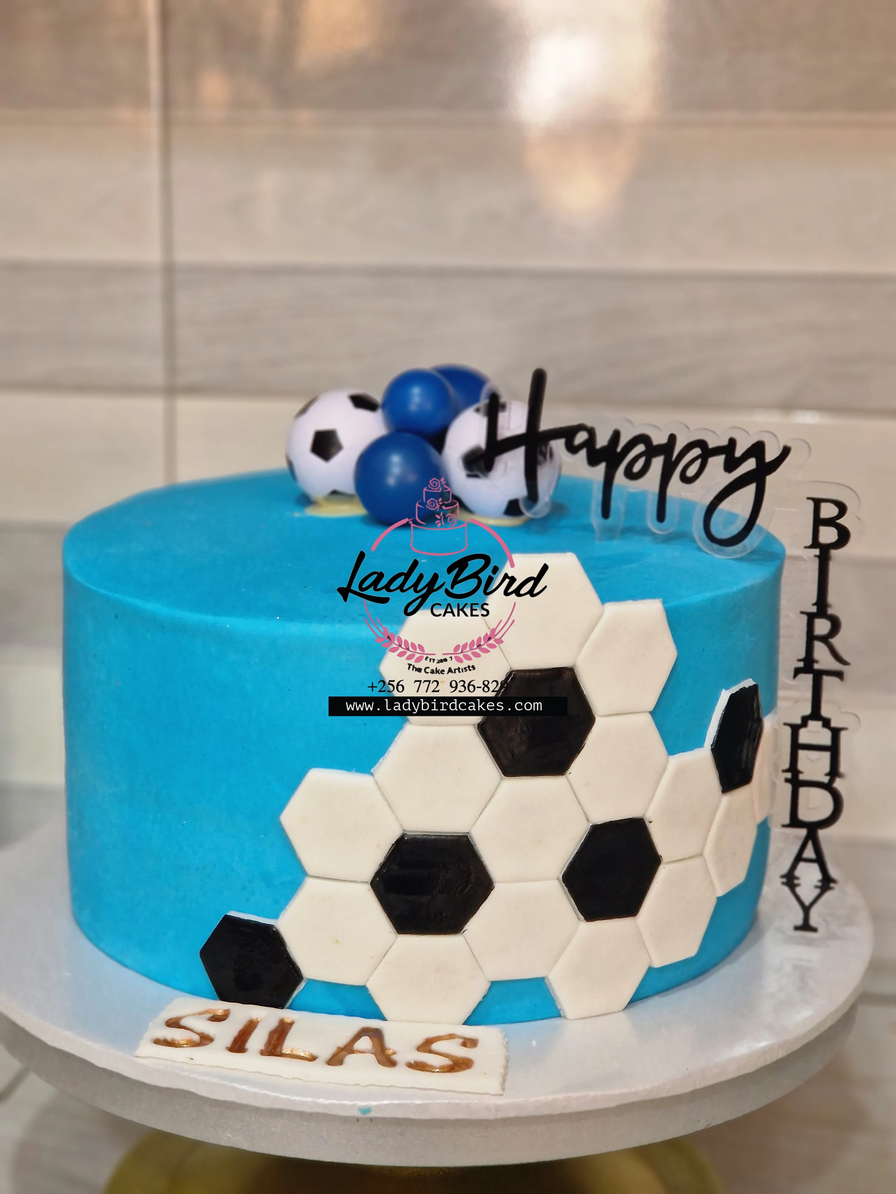 This is a custom cake of Ladybird Cakes Uganda