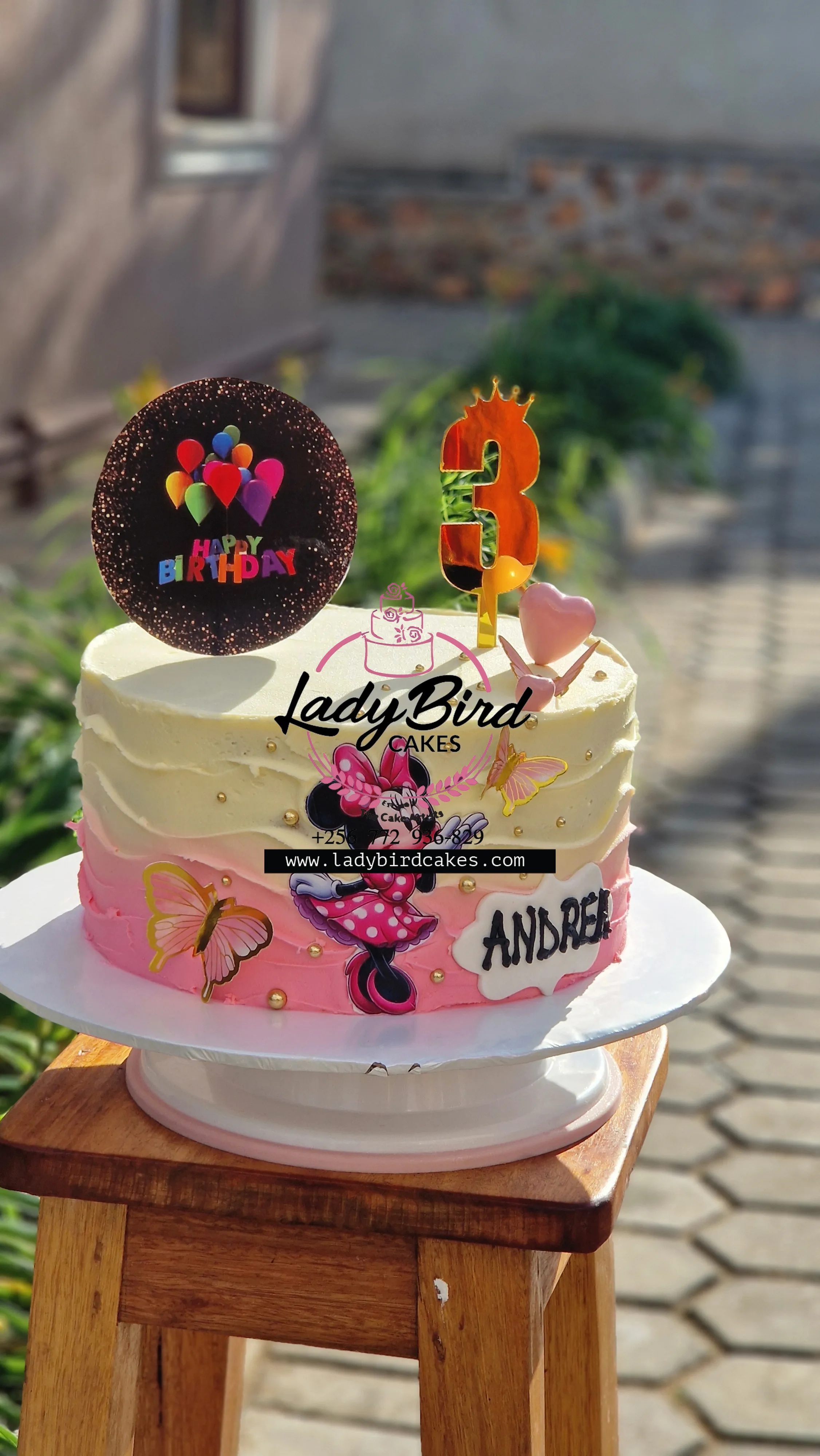 This is a custom cake of Ladybird Cakes Uganda