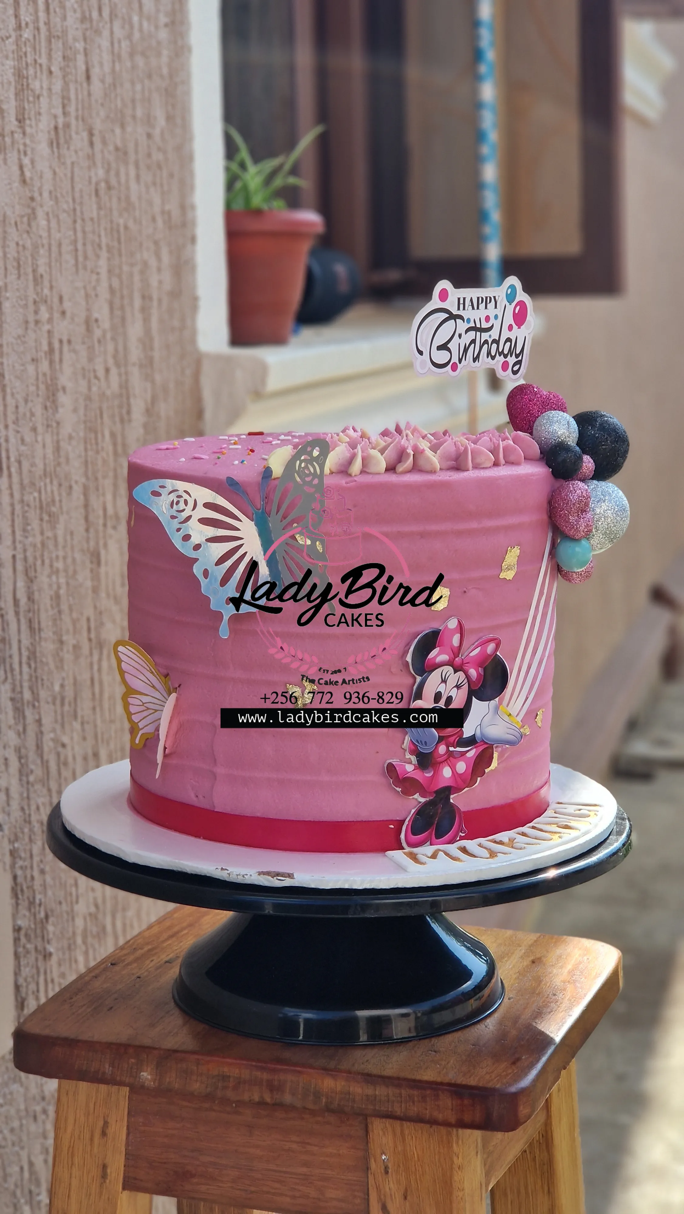 This is a custom cake of Ladybird Cakes Uganda