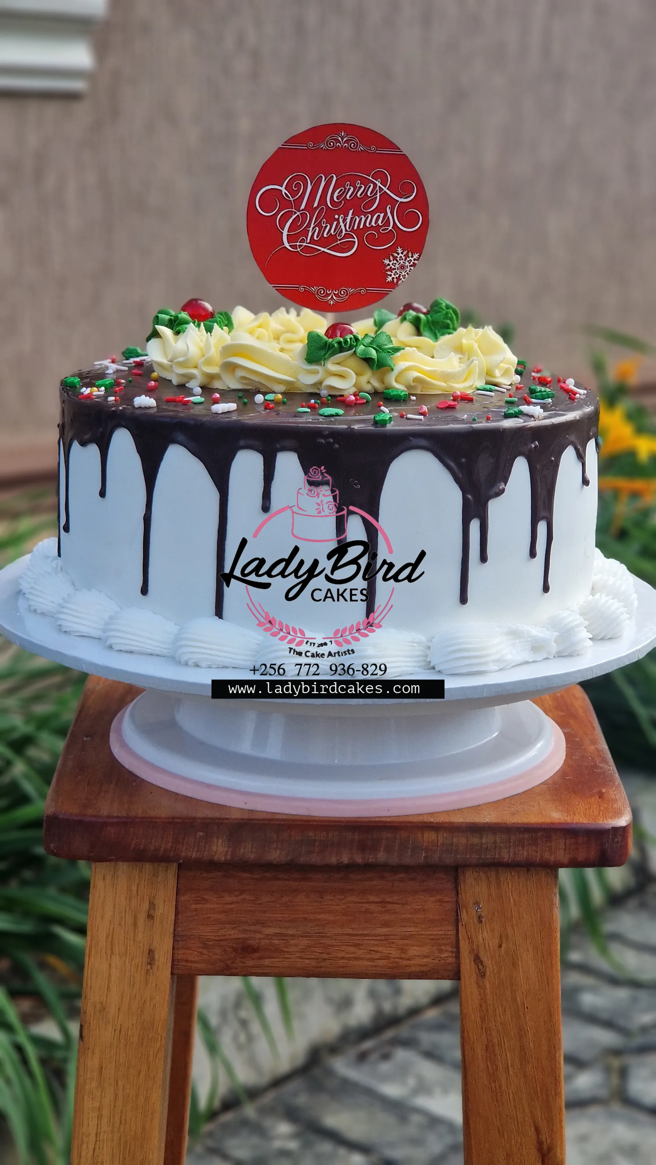 This is a custom cake of Ladybird Cakes Uganda