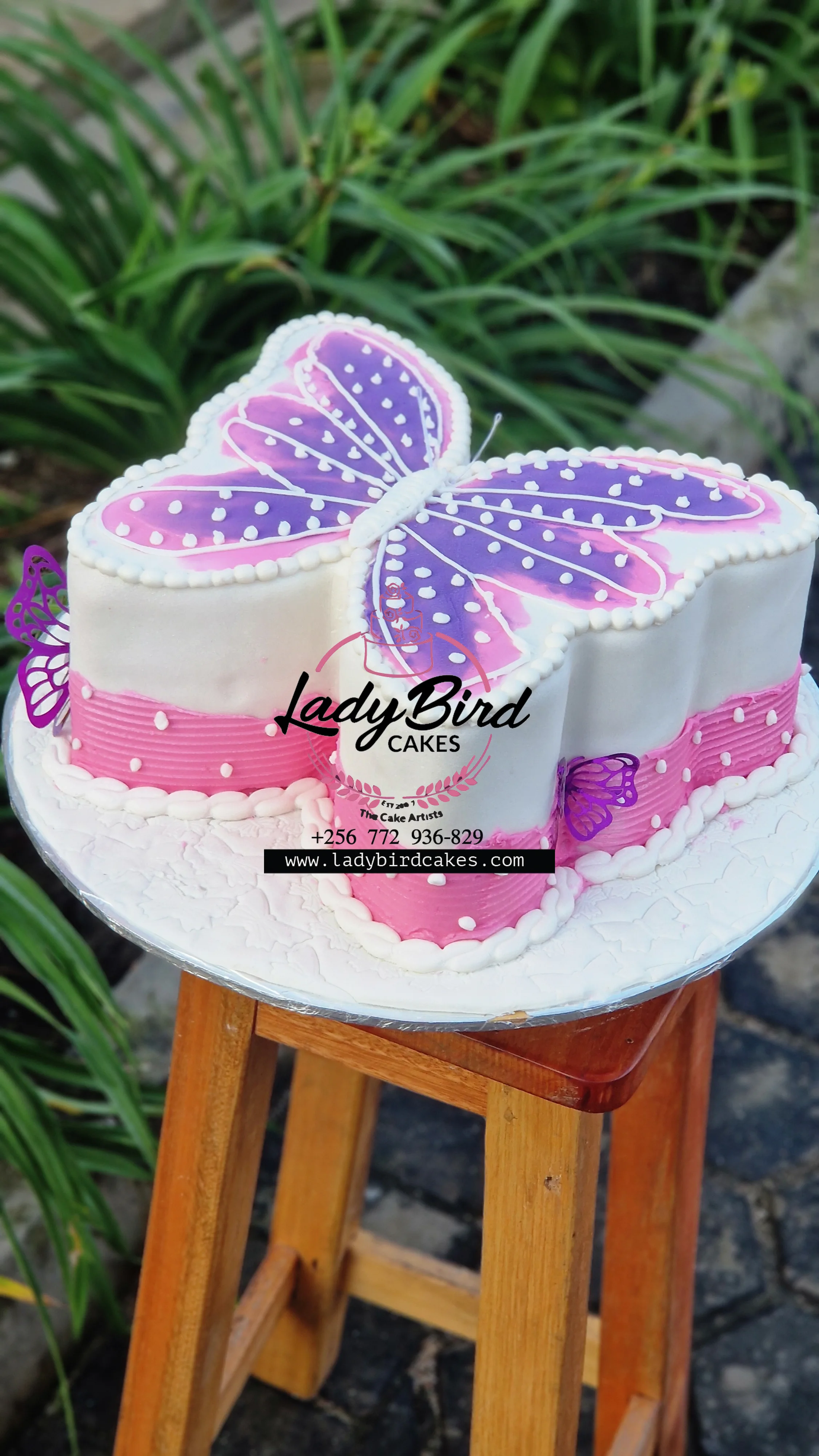 This is a custom cake of Ladybird Cakes Uganda